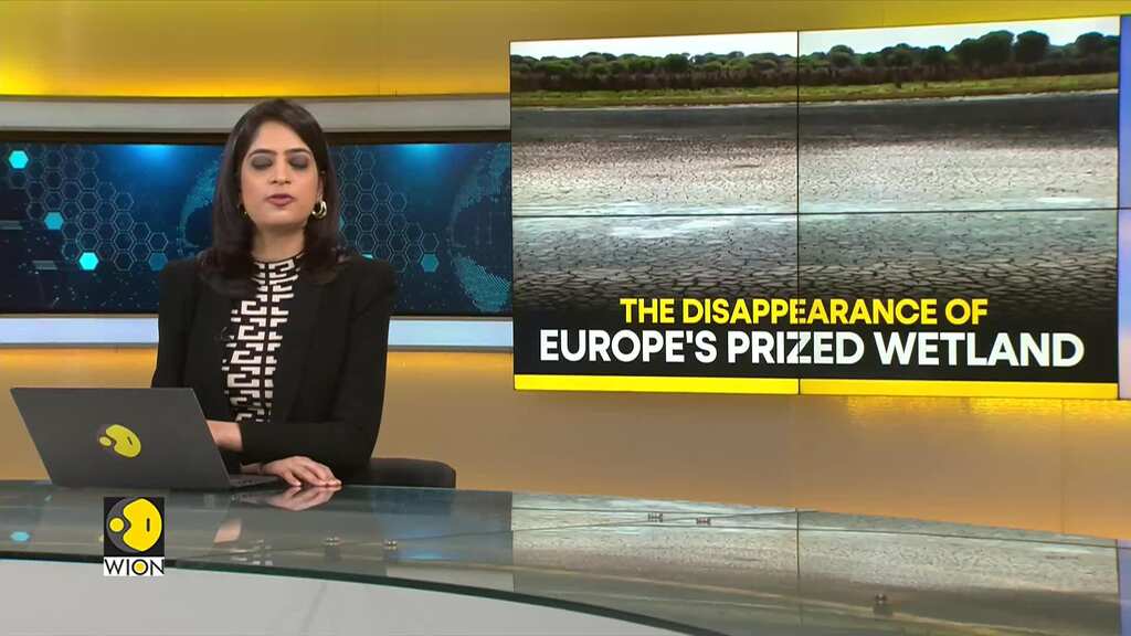 WION Climate Tracker: Spain's Donana wetlands go dry