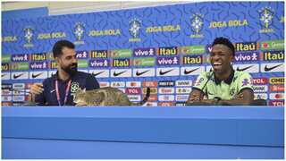 WATCH: An unlikely intruder interrupts Vinicius Jr during Brazil’s presser ahead of Croatia quarterfinal
