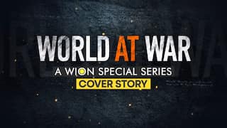 Role of private armies in modern wars