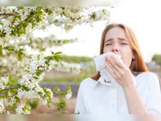 WION Climate Tracker: Climate change makes allergy season worse, pollen allergies to grow in future
