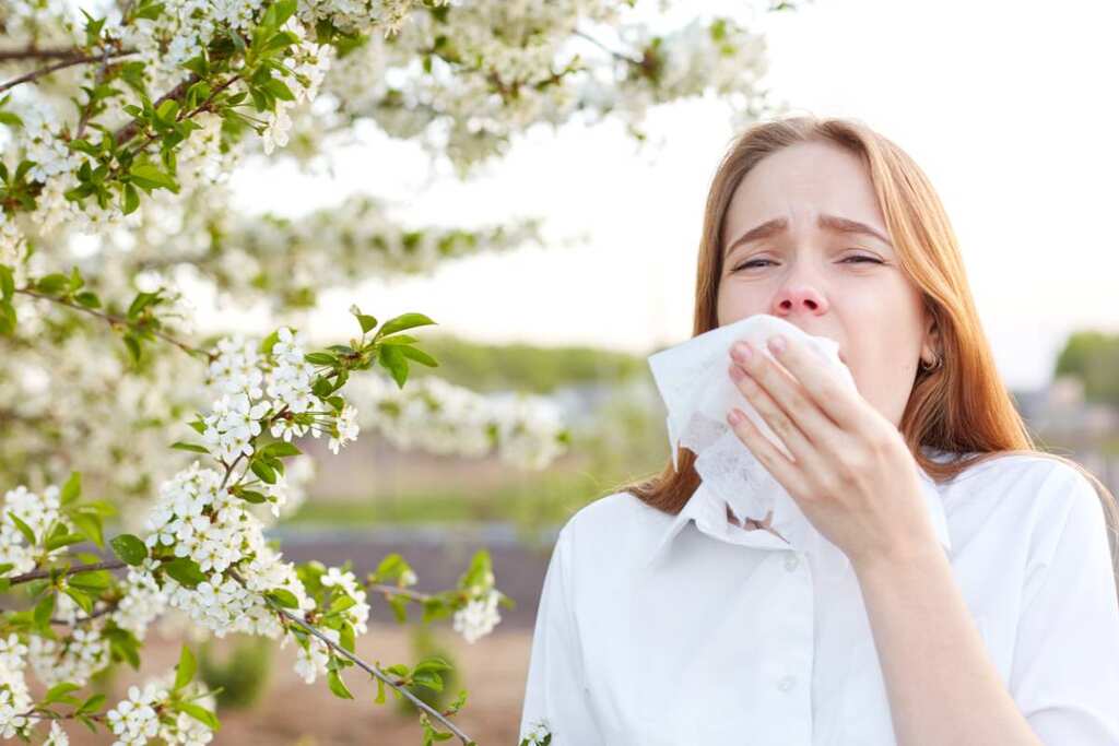 WION Climate Tracker: Climate change makes allergy season worse, pollen allergies to grow in future