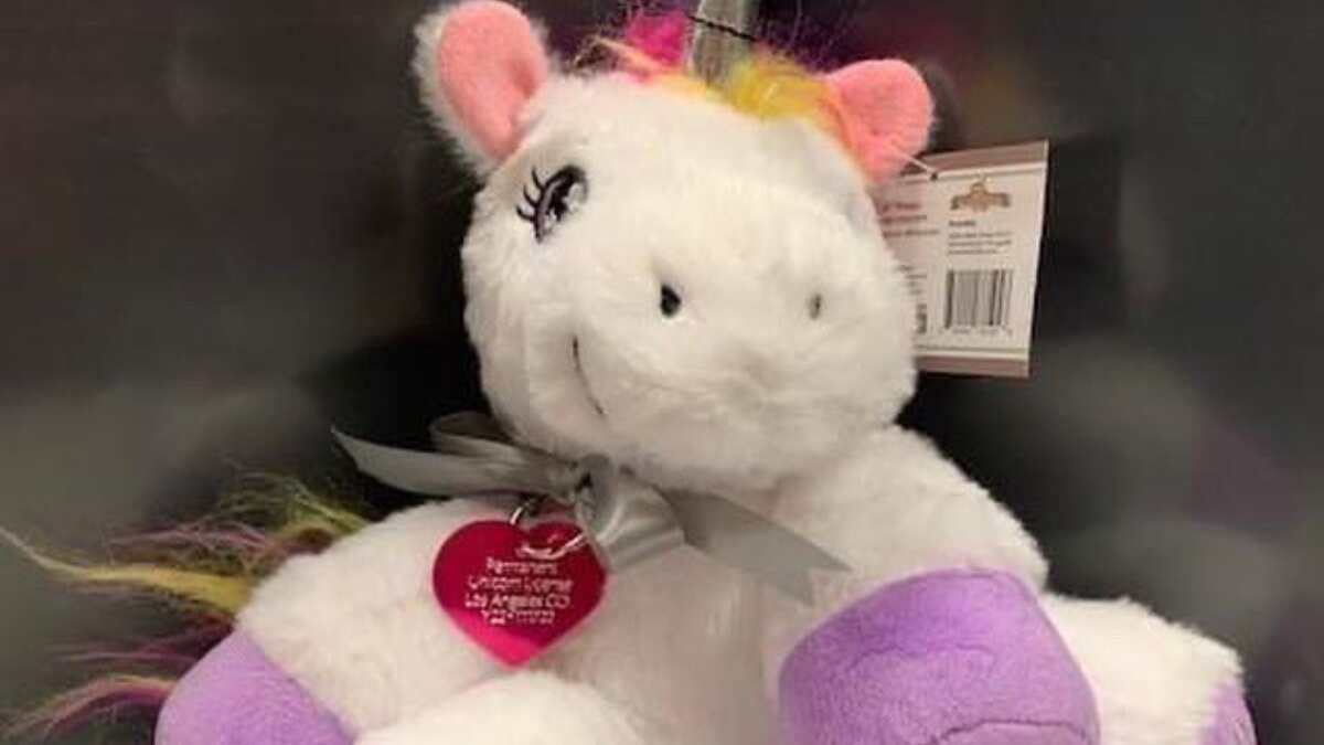 Young California girl secures a 'unicorn permit' in the event she finds one Young California girl secures a 'unicorn permit' in the event she finds one
