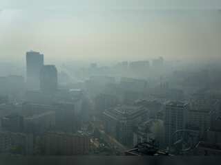 WION Climate Tracker: Air pollution chokes Poland, families use wood to cook food | English News