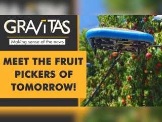 Gravitas: Israel's fruit-picking flying robots