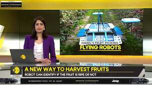 Gravitas: Israel's fruit-picking flying