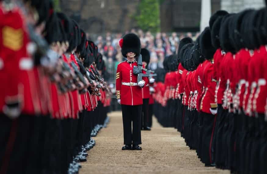 PETA is suing UK Defence Ministry over bear skin caps as MoD refuses to replace them