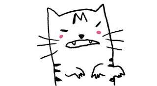 Twitter account with cat avatar takes centre stage for info and updates on China protests