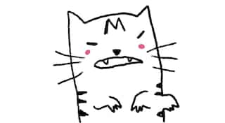 Twitter account with cat avatar takes centre stage for info and updates on China protests