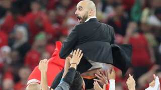 'We're the Rocky Balboa...': Morocco coach Walid Regragui after knockout WC win over Portugal