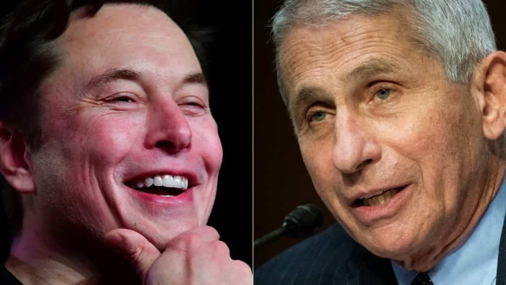 White House backs Dr Fauci, calls Musk's attack 'incredibly dangerous'