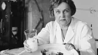 Google Doodle celebrates 'The Sun Queen' Dr Mária Telkes, Here's how she saved lives during World War 2