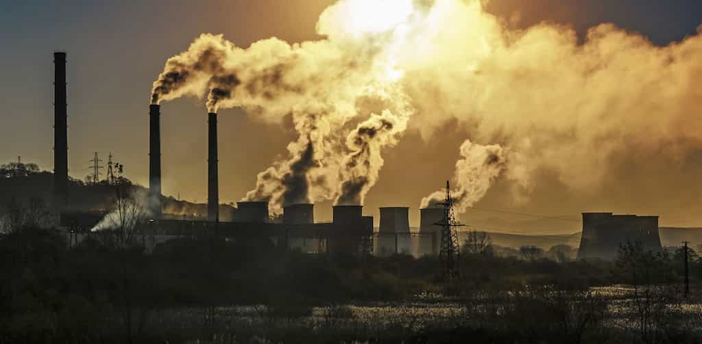 WION Climate Tracker | Australia to clampdown on "greenwashing', challenges bigwigs to come clean