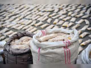 How Captagon is turning Syria into a 'narco-state'?