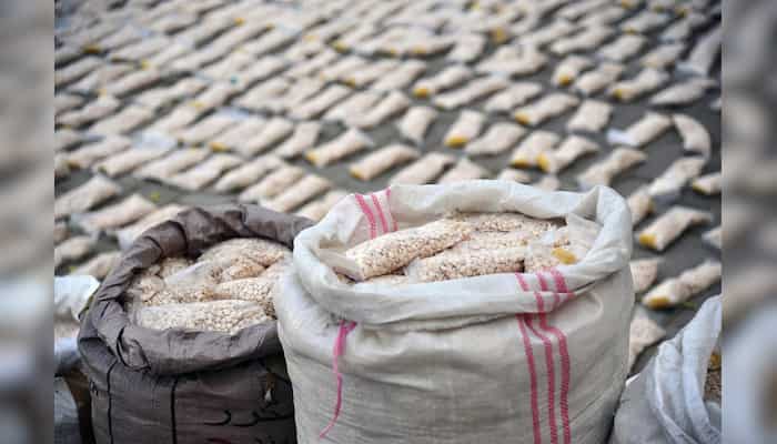 How Captagon is turning Syria into a 'narco-state'?