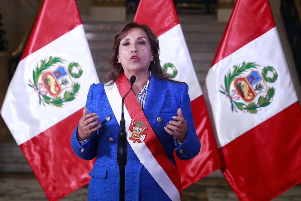 Peru’s new President Dina Boluarte proposes early elections after protests