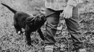 Canine therapy: How 'four-legged rehabilitator' is helping Ukrainian children traumatised by war