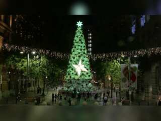 Sydney illuminates for Christmas festivities