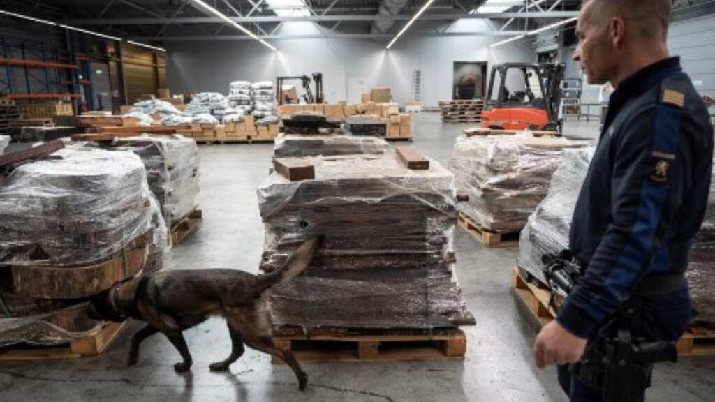 A cocaine deluge has taken over Europe's biggest port
