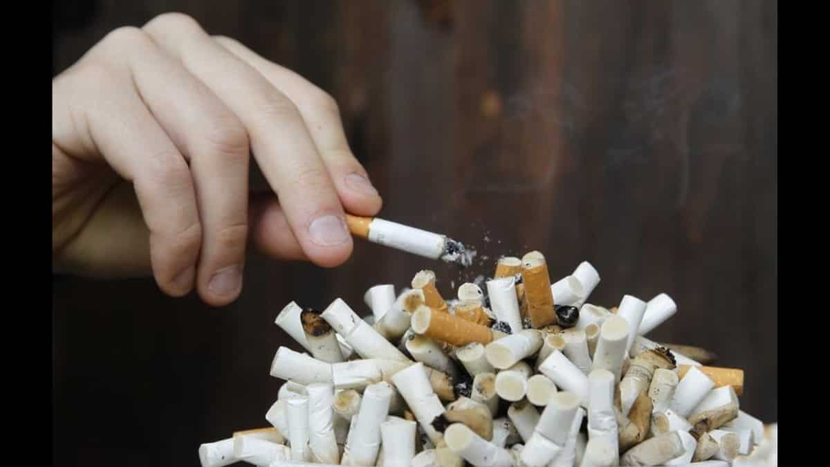 win cigarette Win Cigarette win cigarette Win Cigarette