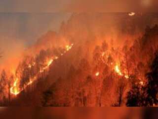 WION Climate Tracker: Chile battles to combat wildfires amid threat to residents