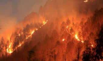 WION Climate Tracker: Chile battles to combat wildfires amid threat to residents