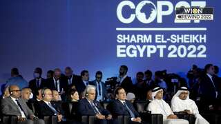 Did COPs of 2022 catch up with Earth's climate change runner?