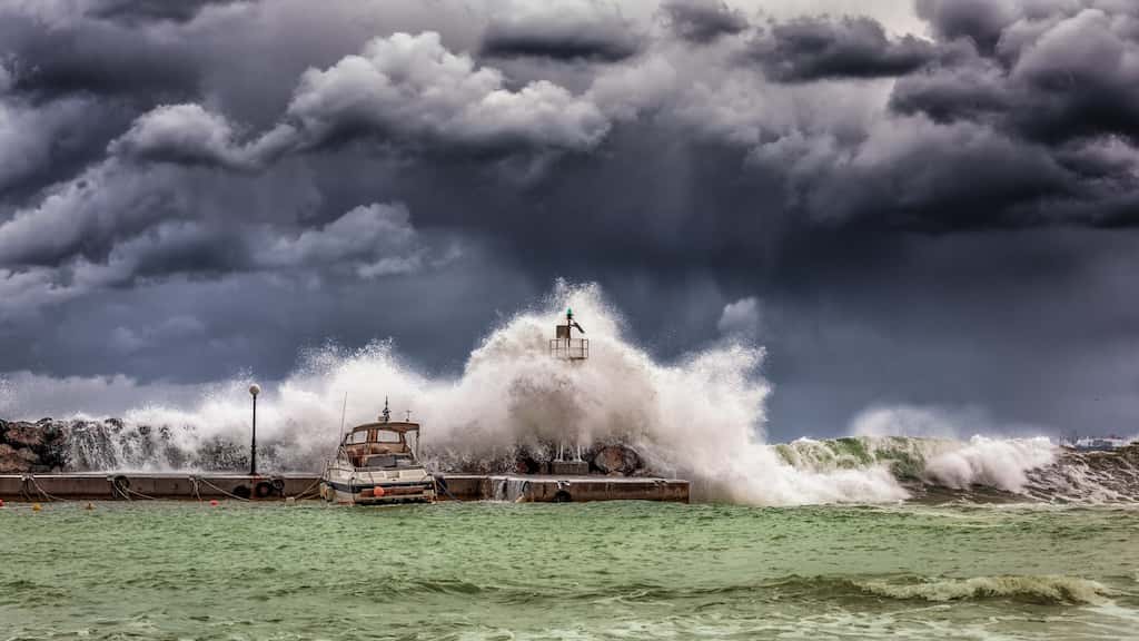WION Climate Tracker: Atlantic storm leaves behind a trail of destruction in Portugal