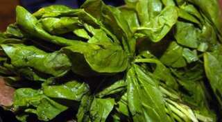 Spinach poisoning sparks health scare in Australia, people suffer sickness, hallucinations
