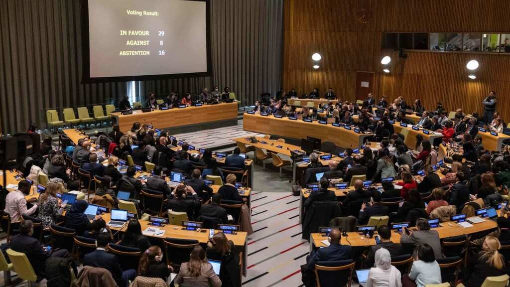 Key UN panel expels Iran from ECOSOC