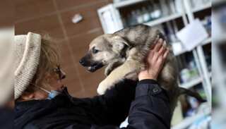 Ukraine: Animal-lover to the rescue, woman lives in basement with 67 dogs