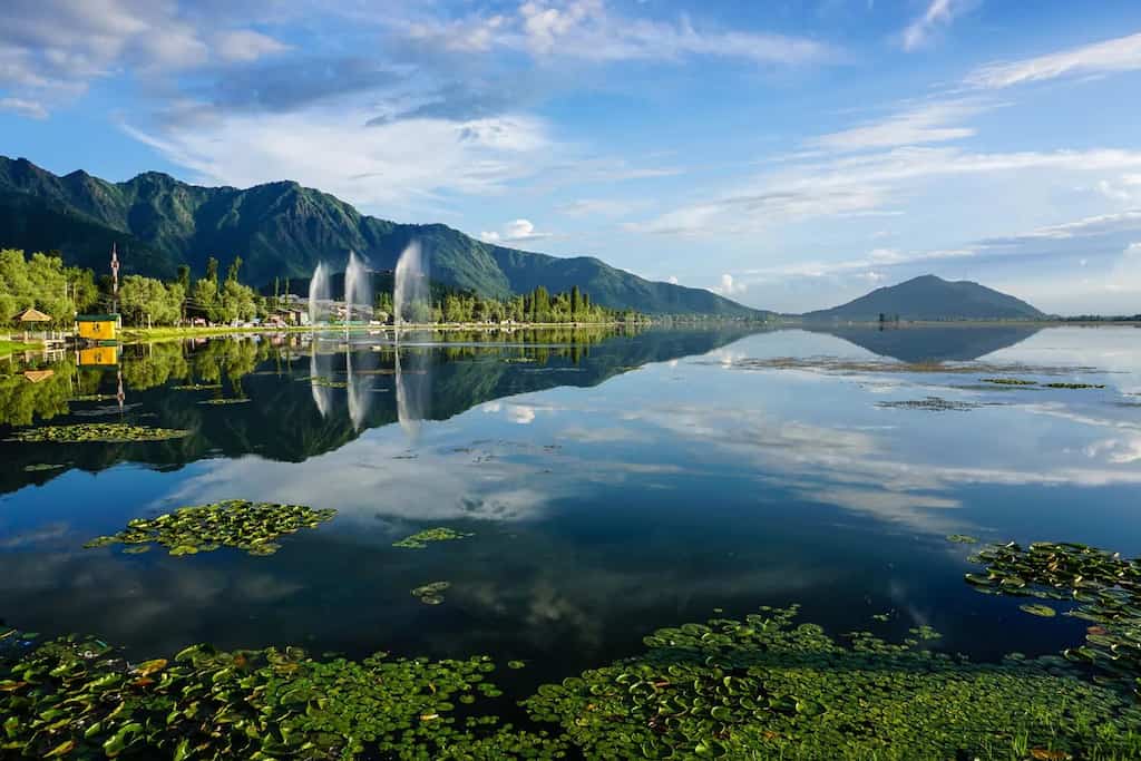 WION Climate Tracker: Massive restoration project underway