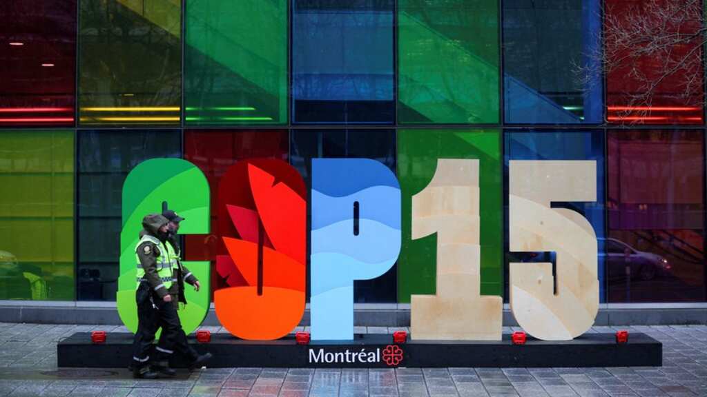 Countries sign historic deal at COP 15, commit billions by 2030 to save biodiversity