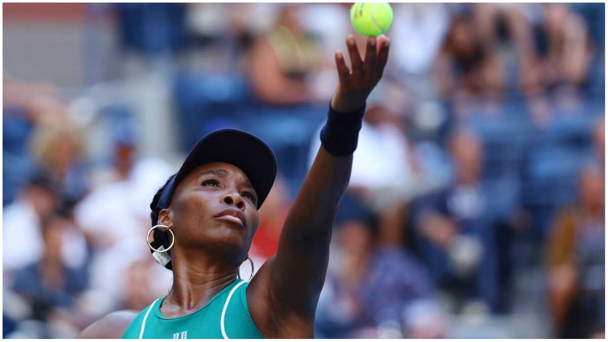 No 'evolving away' for Venus Williams as seven-time Grand Slam winner gets Australian Open wildcard No 'evolving away' for Venus Williams as seven-time Grand Slam winner gets Australian Open wildcard