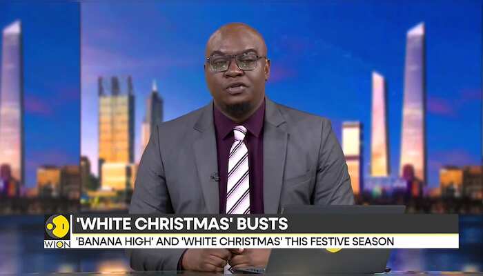 Christmas themed police seize record amounts of cocaine ahead of the holiday season