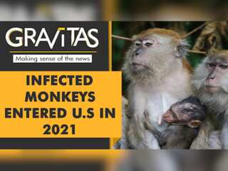 Gravitas: CDC accused of importing infected macaques