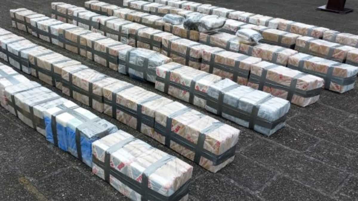 A White Christmas! Authorities seize record amounts of cocaine ahead of the holiday season A White Christmas! Authorities seize record amounts of cocaine ahead of the holiday season