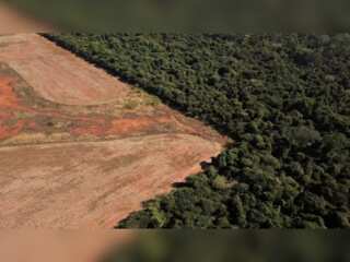 WION Climate Tracker: Amazon Rainforest disappearing quickly