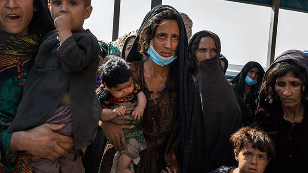 WION Climate Tracker: Climate Change will fuel Humanitarian Crisis in 2023