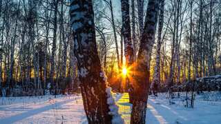 Winter Solstice 2022: What is fact behind shortest day of year, is it getting longer? All you need to know