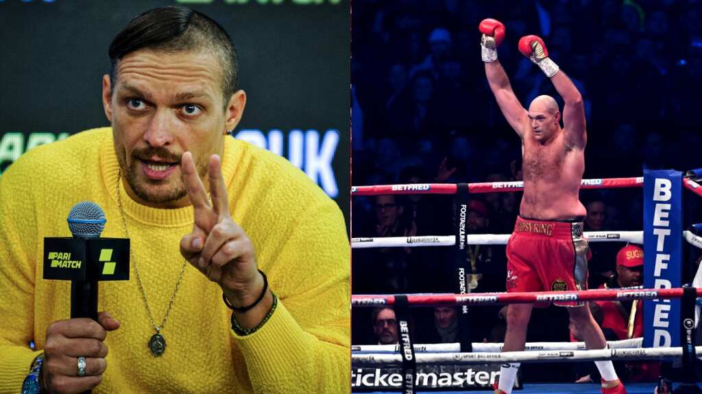 Boxing: Oleksandr Usyk and Tyson Fury agree to fight each other, say reports
