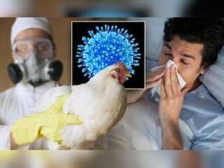 UK and EU are witnessing alarming health concerns