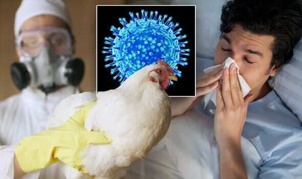 UK and EU are witnessing alarming health concerns
