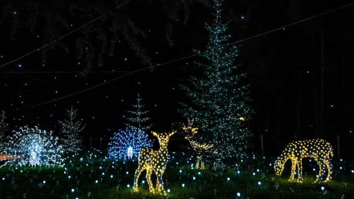 Christmas 2023