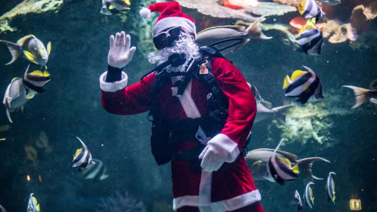 Christmas 2023