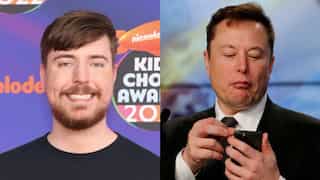 World's most-subscribed YouTuber Mr Beast offers to be Twitter CEO. Elon Musk responds