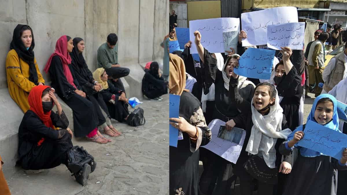 Afghan women speak to WION as Taliban dismantle their right to education, campus after campus