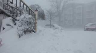 17 killed as deadly arctic blast sweeps US leaving Christmas celebrations in deep freeze