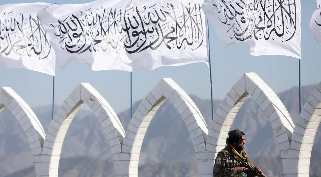 Five NGOs suspend operations in Afghanistan after Taliban ban female employees