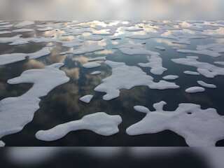 WION Climate Tracker | NOAA: Arctic to transform from snowfall to rainfall