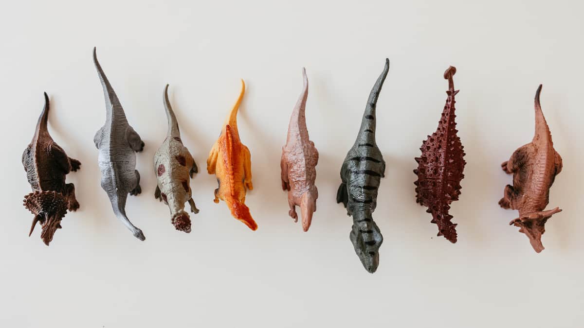 Extremely rare evidence of dinosaurs consuming mammals spotted Extremely rare evidence of dinosaurs consuming mammals spotted